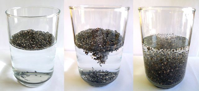 Forget the Pet: Chia Seeds Were Made to be Eaten